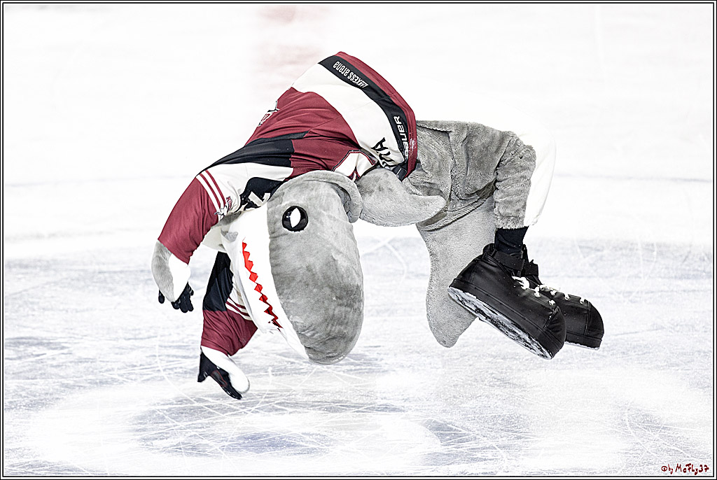 PENNY DEL;  Koelner Haie - Nuernberger Ice Tigers; Koeln, 25.03.2021